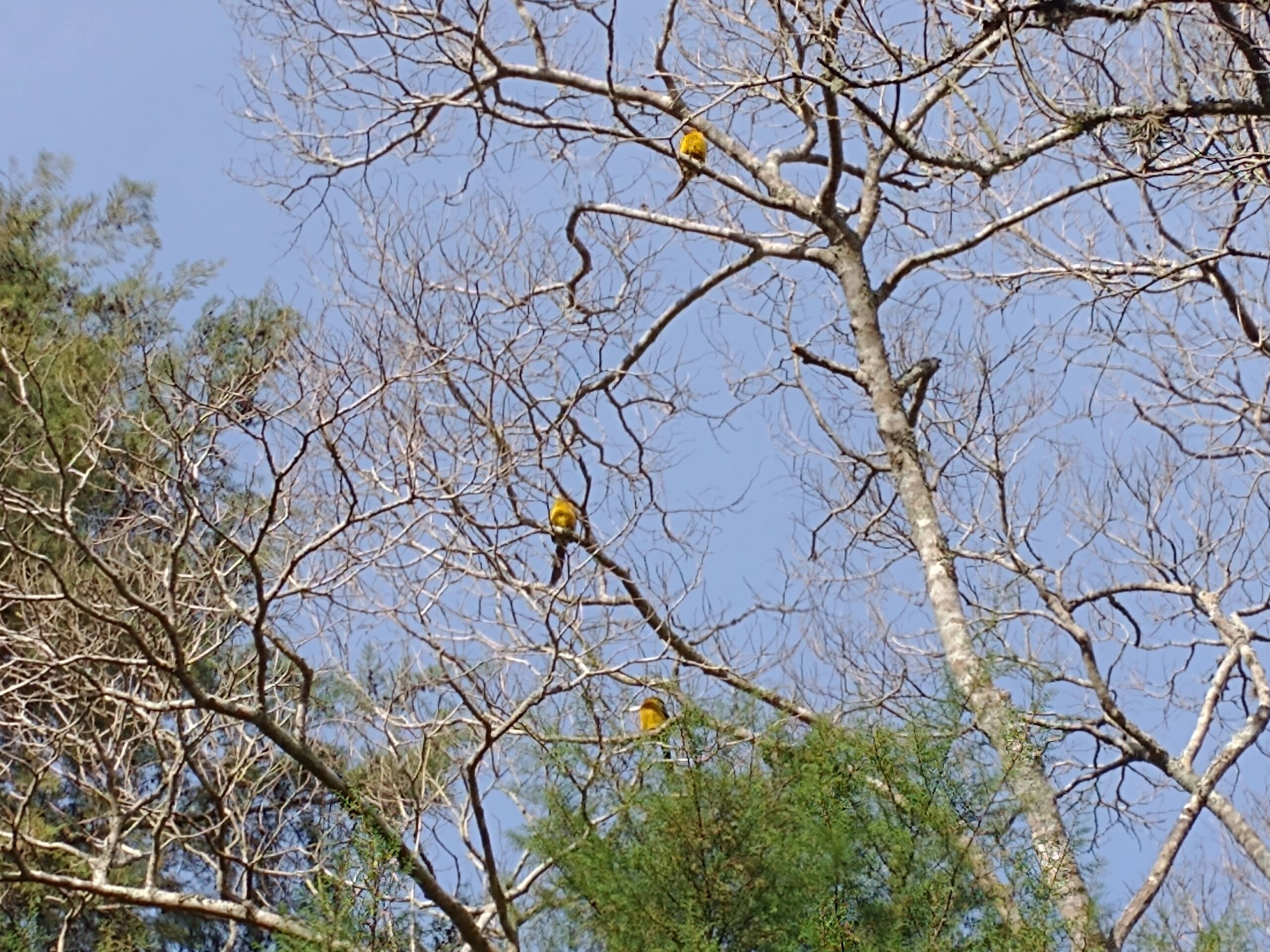 IMG_20210731_154400582